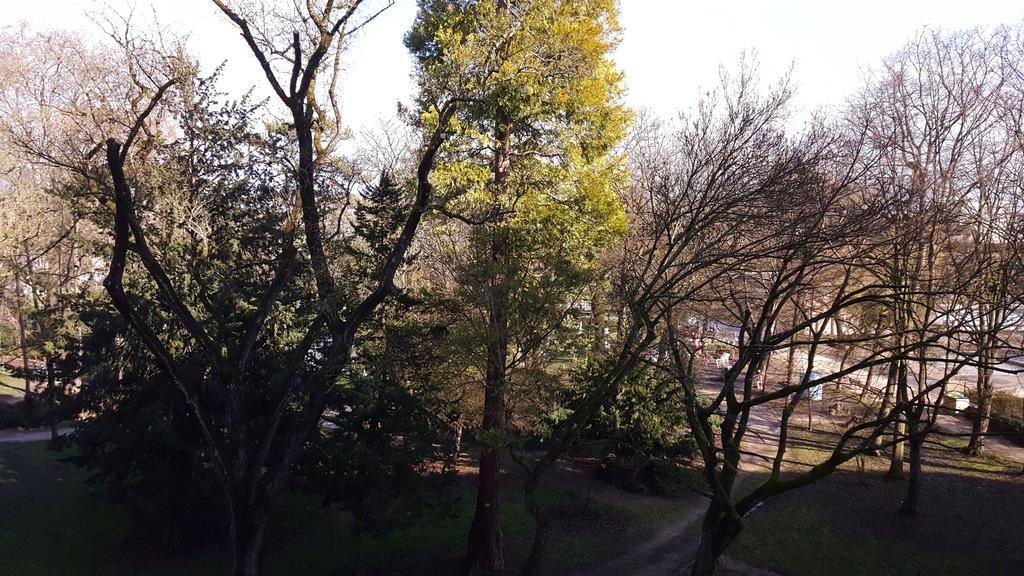 Sweet Home Dijon-Arquebuse Εξωτερικό φωτογραφία